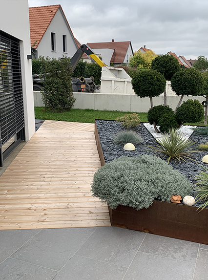 Terrasse en bois, massif de graminées et conifères taillés dans un jardin aménagé